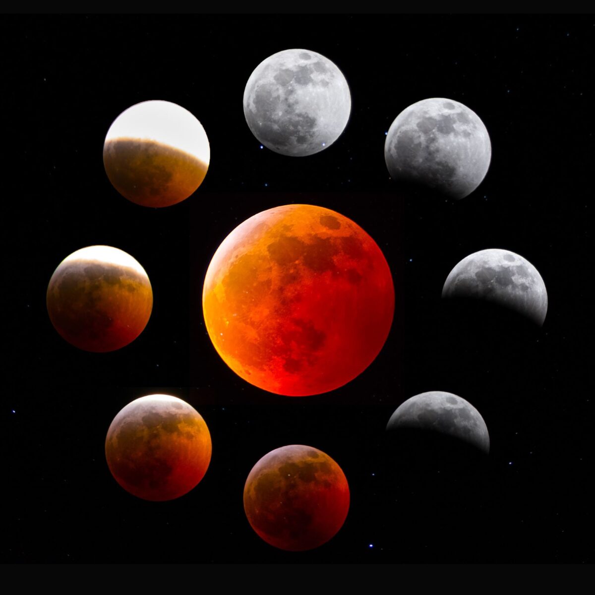 Lunar Eclipse Phases